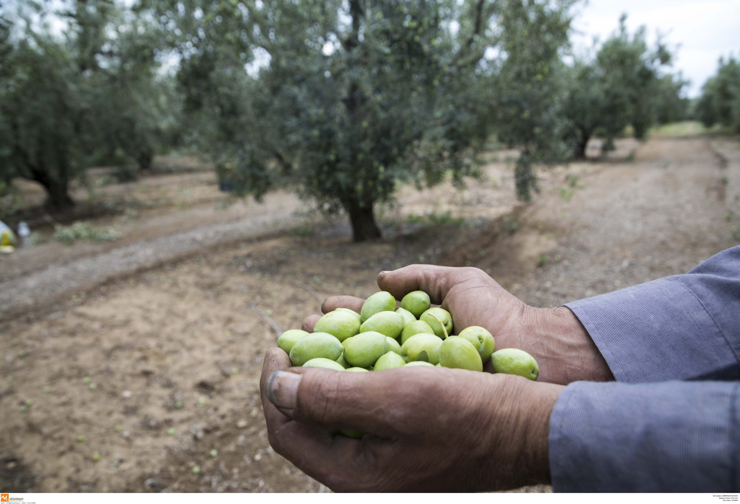 «Ανάσα» για τους αγρότες οι νέες ρυθμίσεις για τα κόκκινα δάνεια – Τι περιλαμβάνει το ερανιστικό νομοσχέδιο του ΥΠΑΑΤ