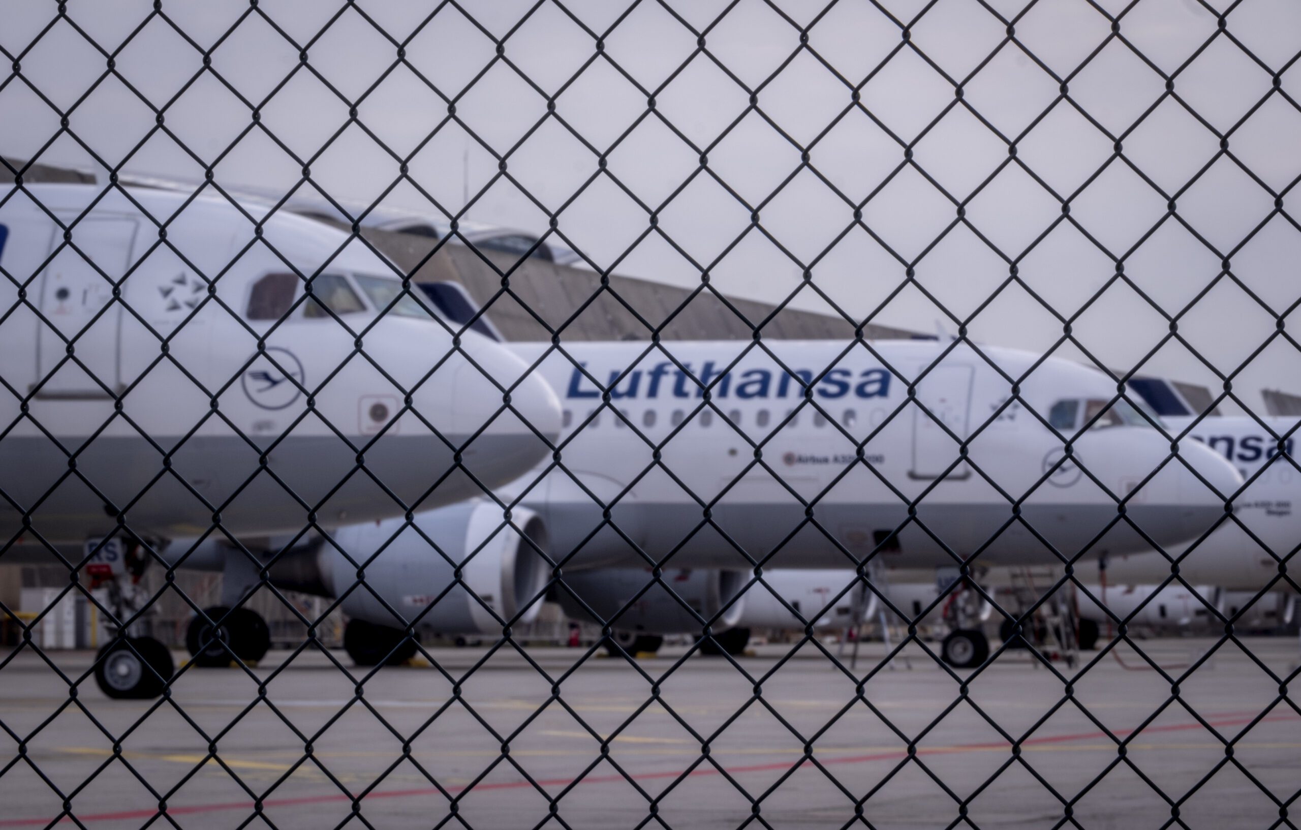 Lufthansa: Δρομολογεί 10.000 προσλήψεις το 2025 – Στις 13/1 η επισημοποίηση της εξαγοράς της ITA