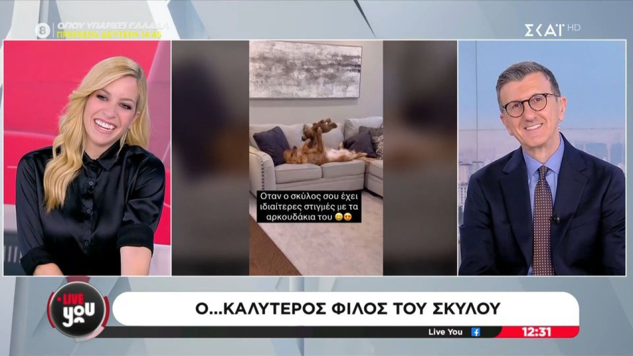 Live You: Ο ερωτευμένος σκύλος που ξετρέλανε το πλατό