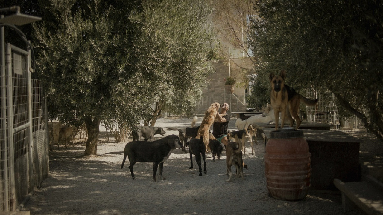 Το ντοκιμαντέρ «Takis.» στο 27ο Φεστιβάλ Ντοκιμαντέρ Θεσσαλονίκης