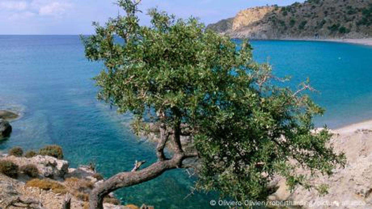 Η Ελλάδα στην Εμπορική Εκθεση Τουρισμού του Βερολίνου