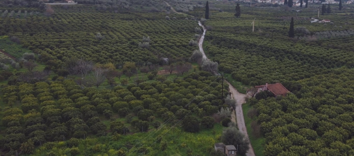 Προτάσεις του δήμου Ναυπλιέων για έργα αγροτικής οδοποιίας