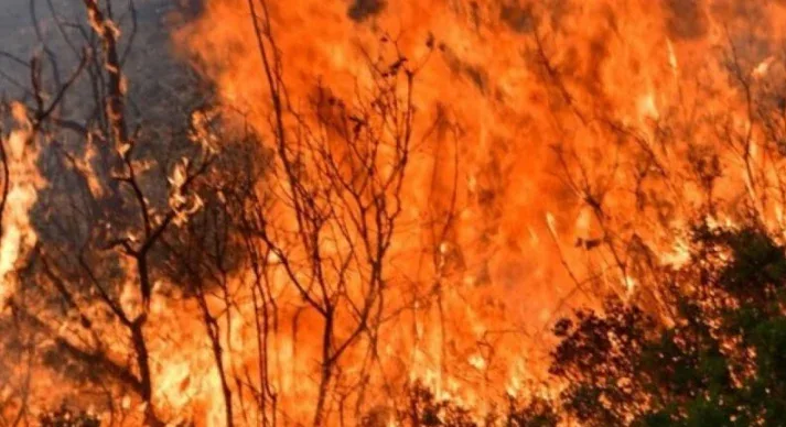 Ηλικιωμένος κάηκε ζωντανός από την φωτιά που έβαλε για να κάψει χόρτα