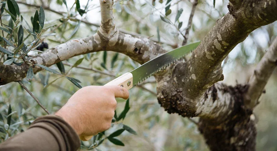 O Δήμος Γόρτυνας, ενημερώνει και προειδοποιεί τους ιδιοκτήτες, για τα δέντρα που  εμποδίζουν την ασφαλή κυκλοφορία πεζών και οχημάτων