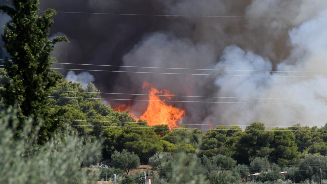 Ποιες περιοχές απαλλάσσονται από την υποχρέωση καταβολής ΕΝΦΙΑ για το έτος 2025